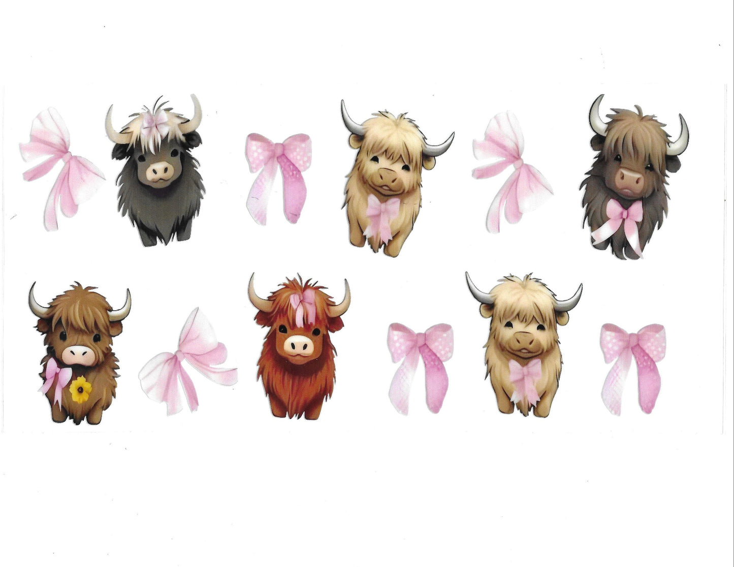 Cows #37