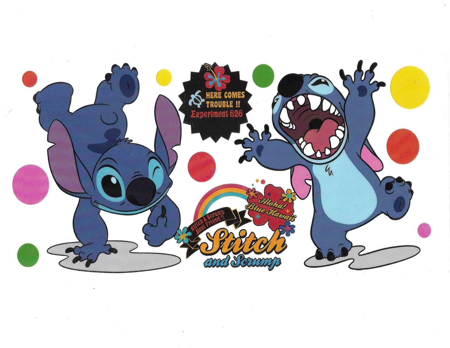 Stitch #27