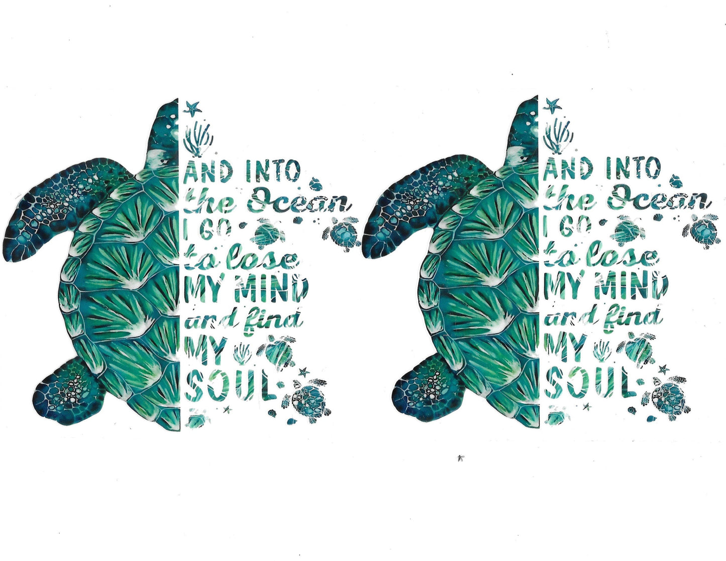 Turtle #11