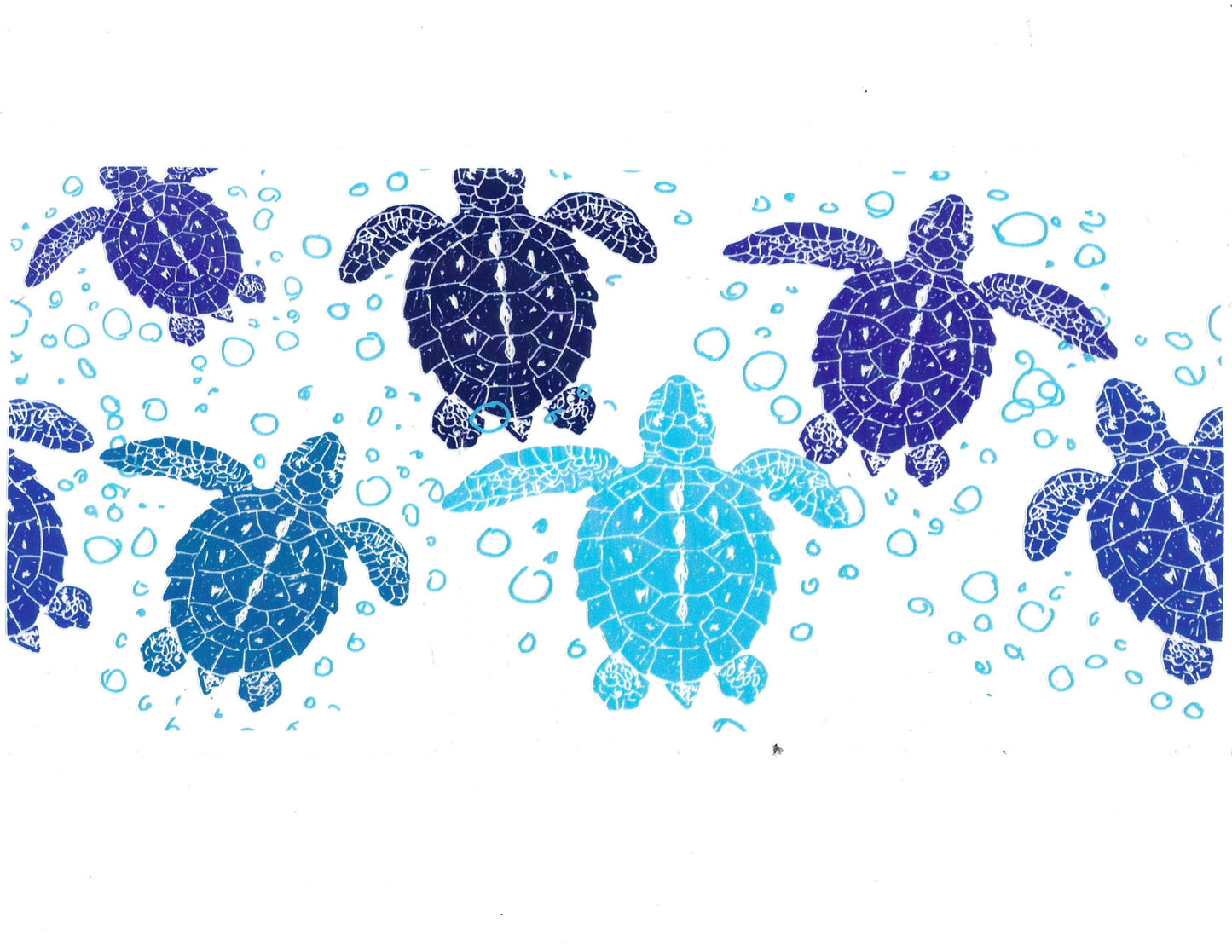 Turtle #17