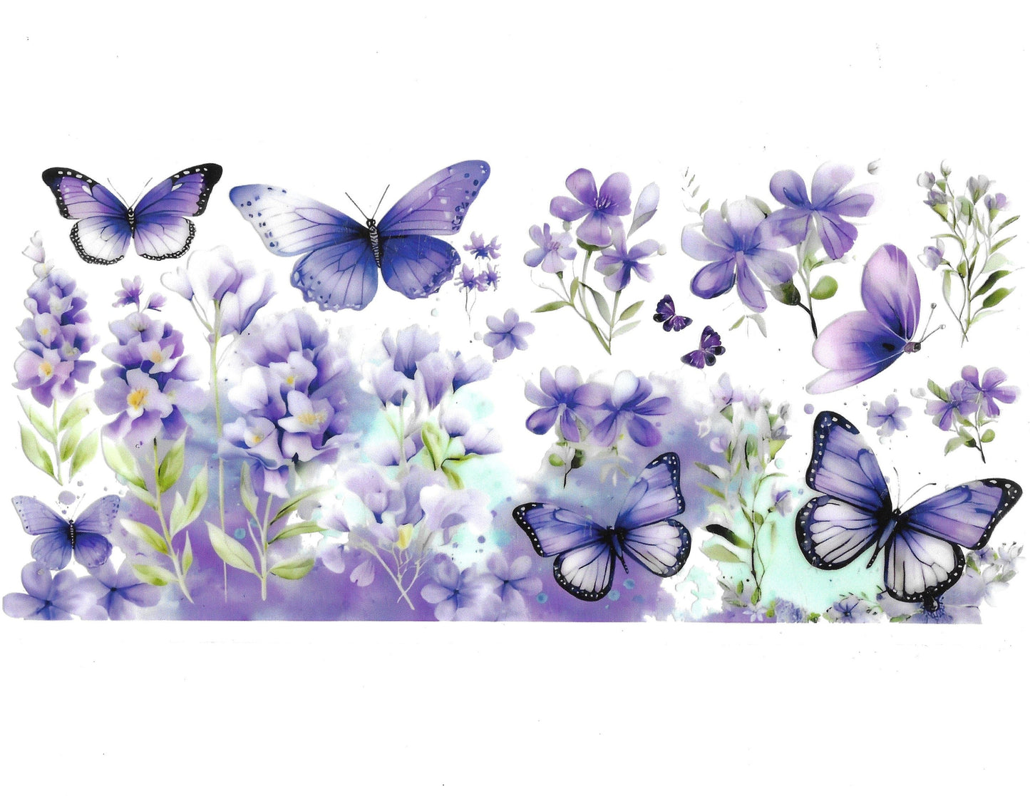 Butterfly #30