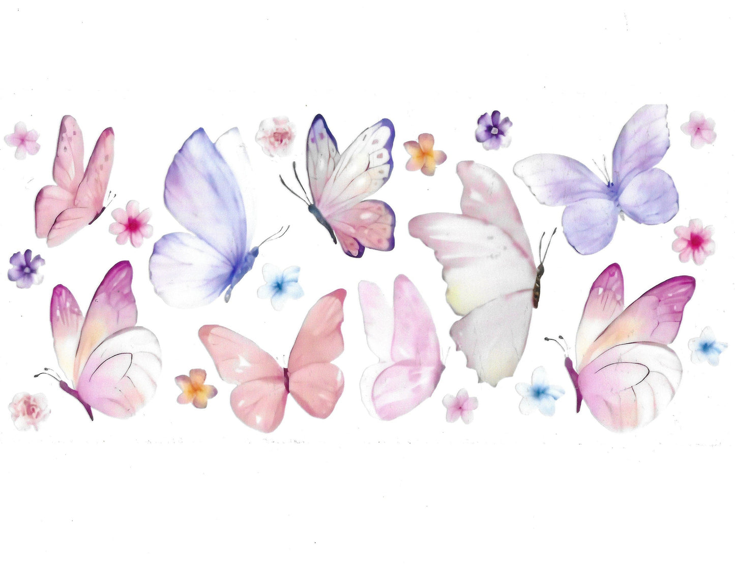 Butterfly #39