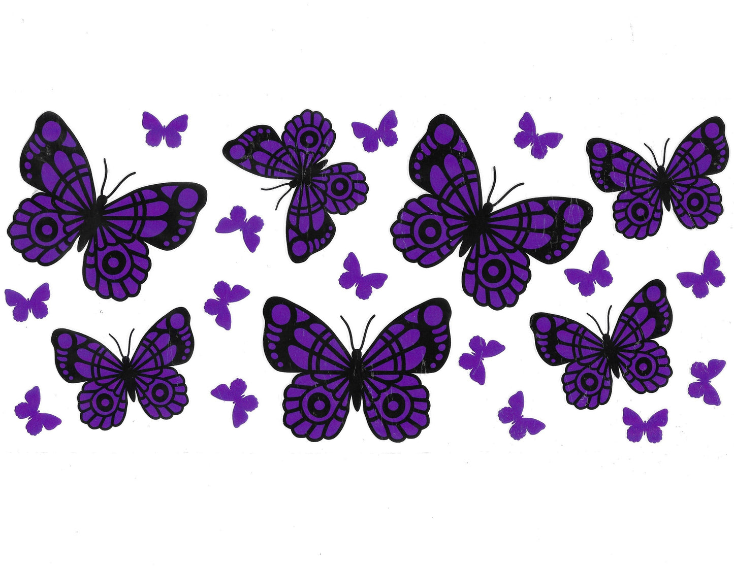 Butterfly #73