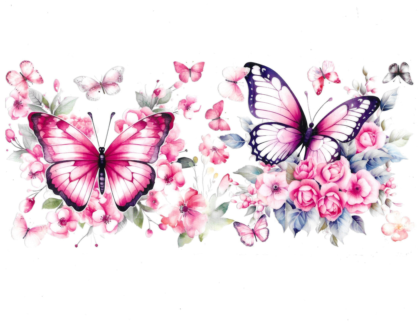 Butterfly #80