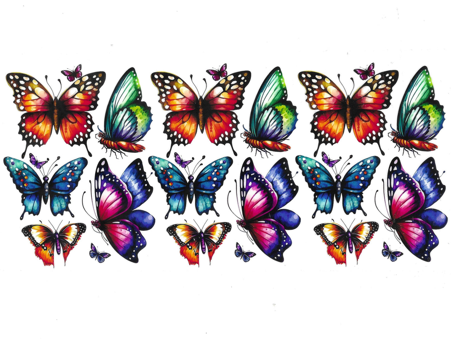 Butterfly #85