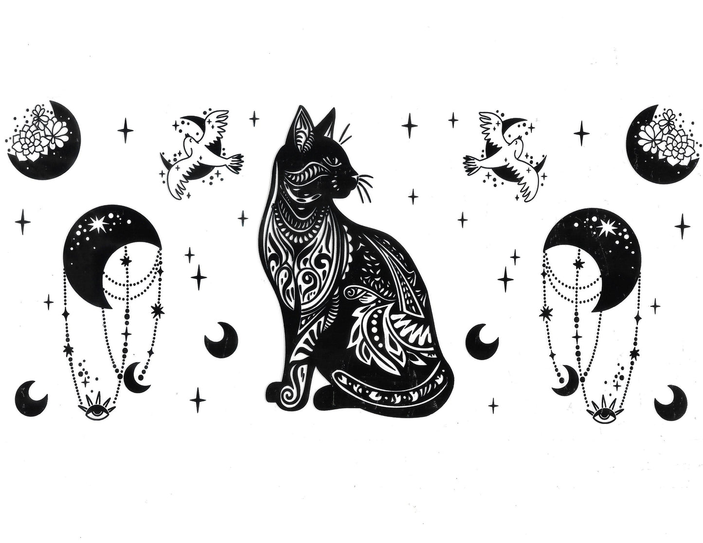 Cat #01