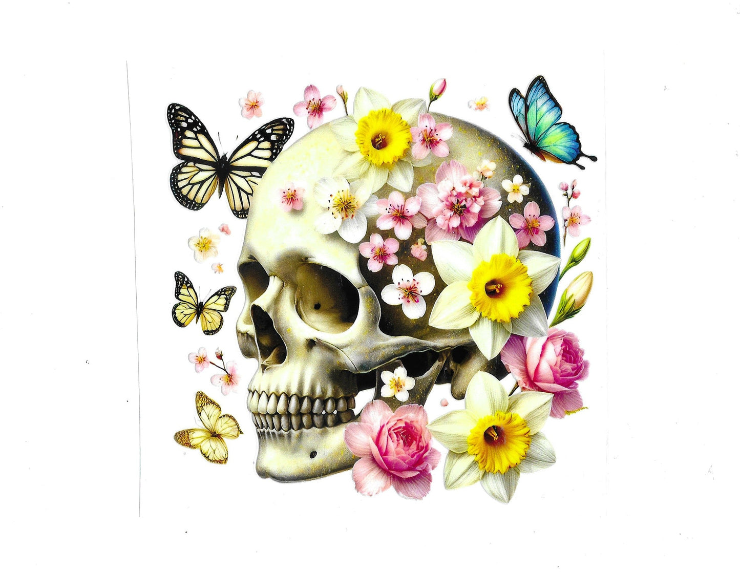Skull #04