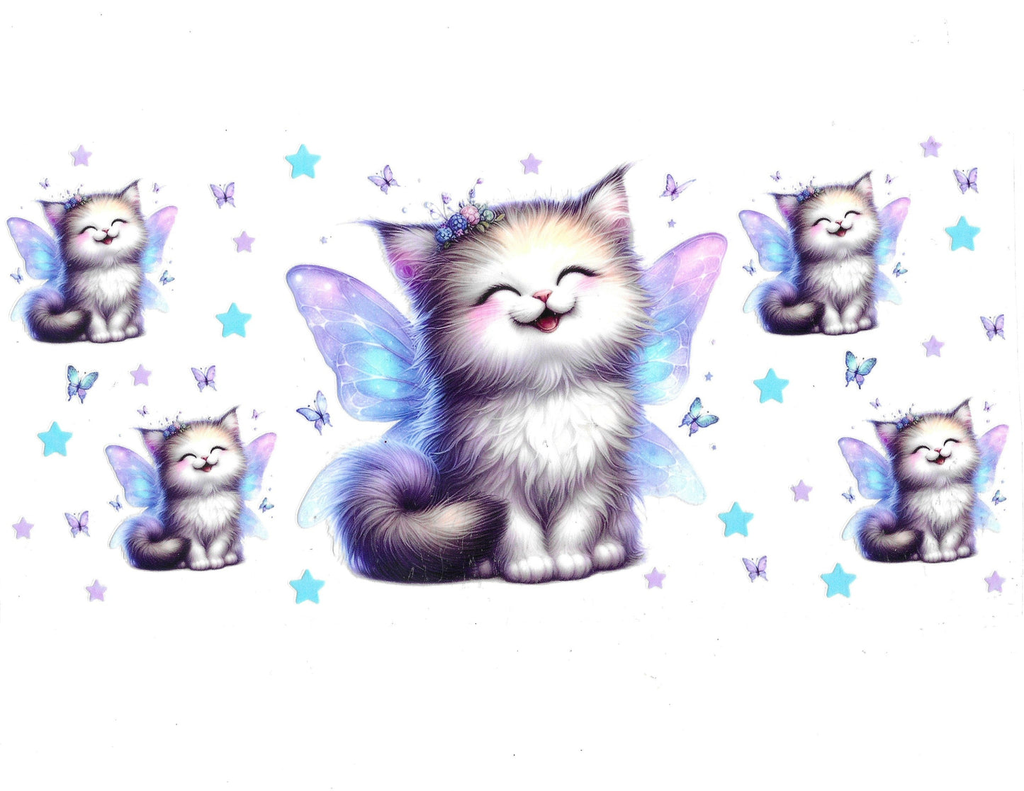 Cat #13