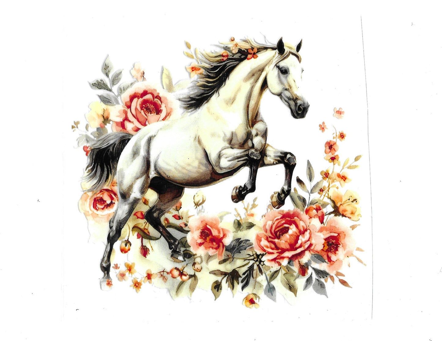 Horse #38