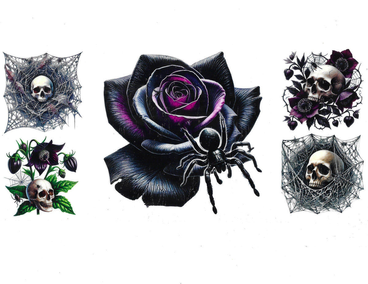 Skull #19