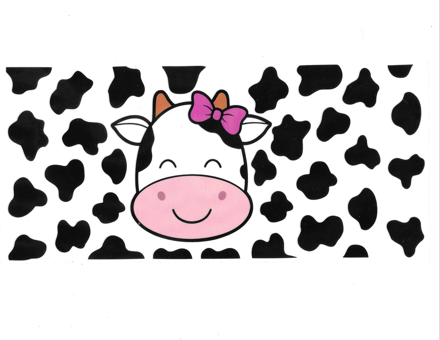Cows #41