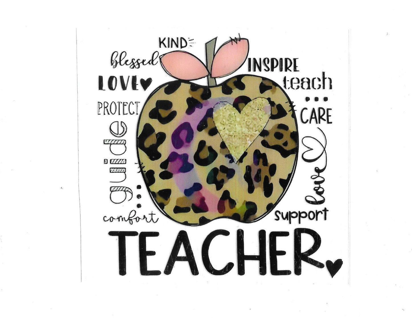 Teacher #67