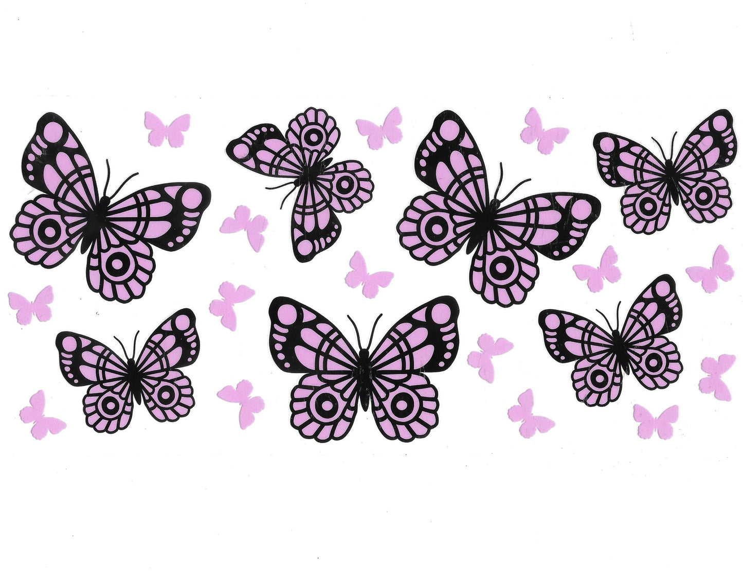 Butterfly #71
