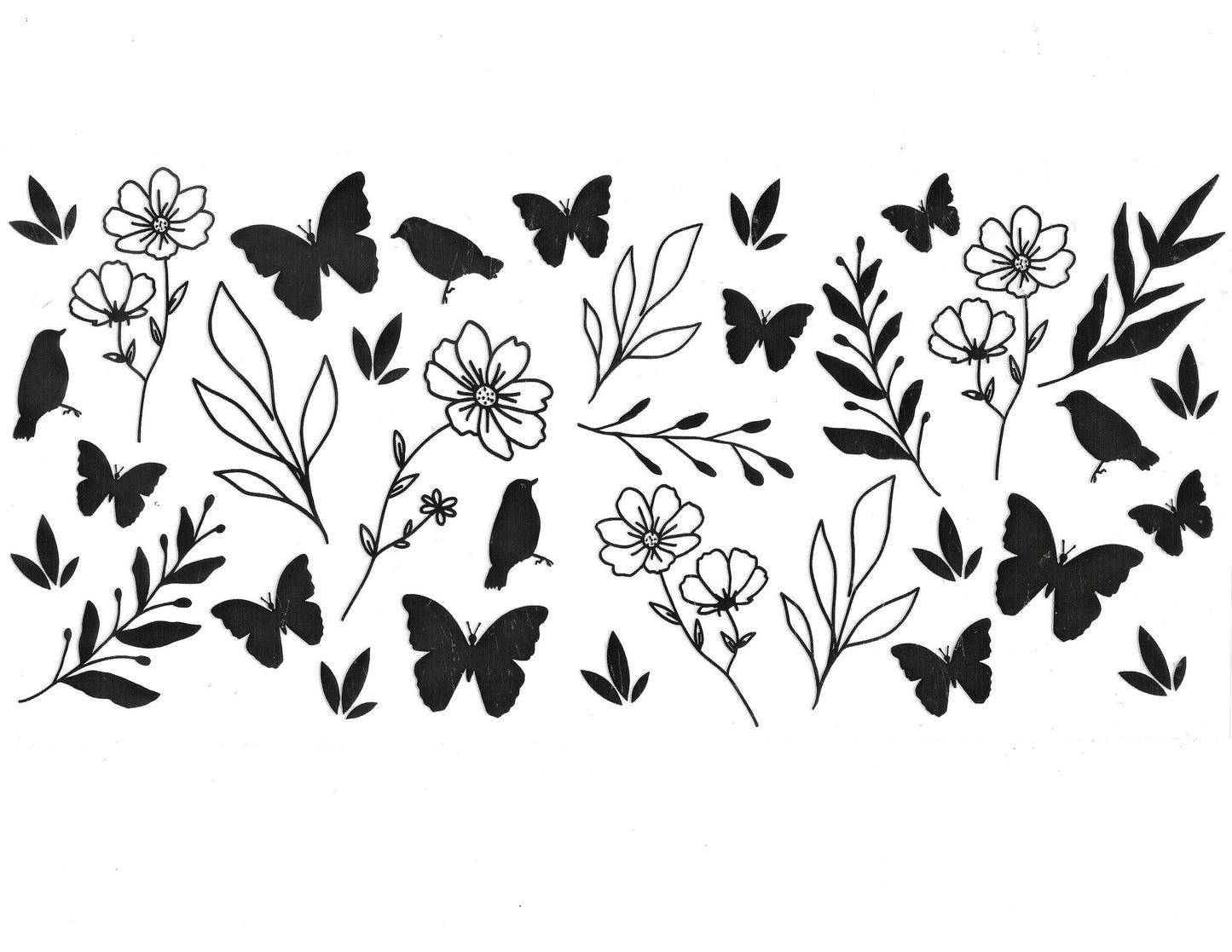 Butterfly #36