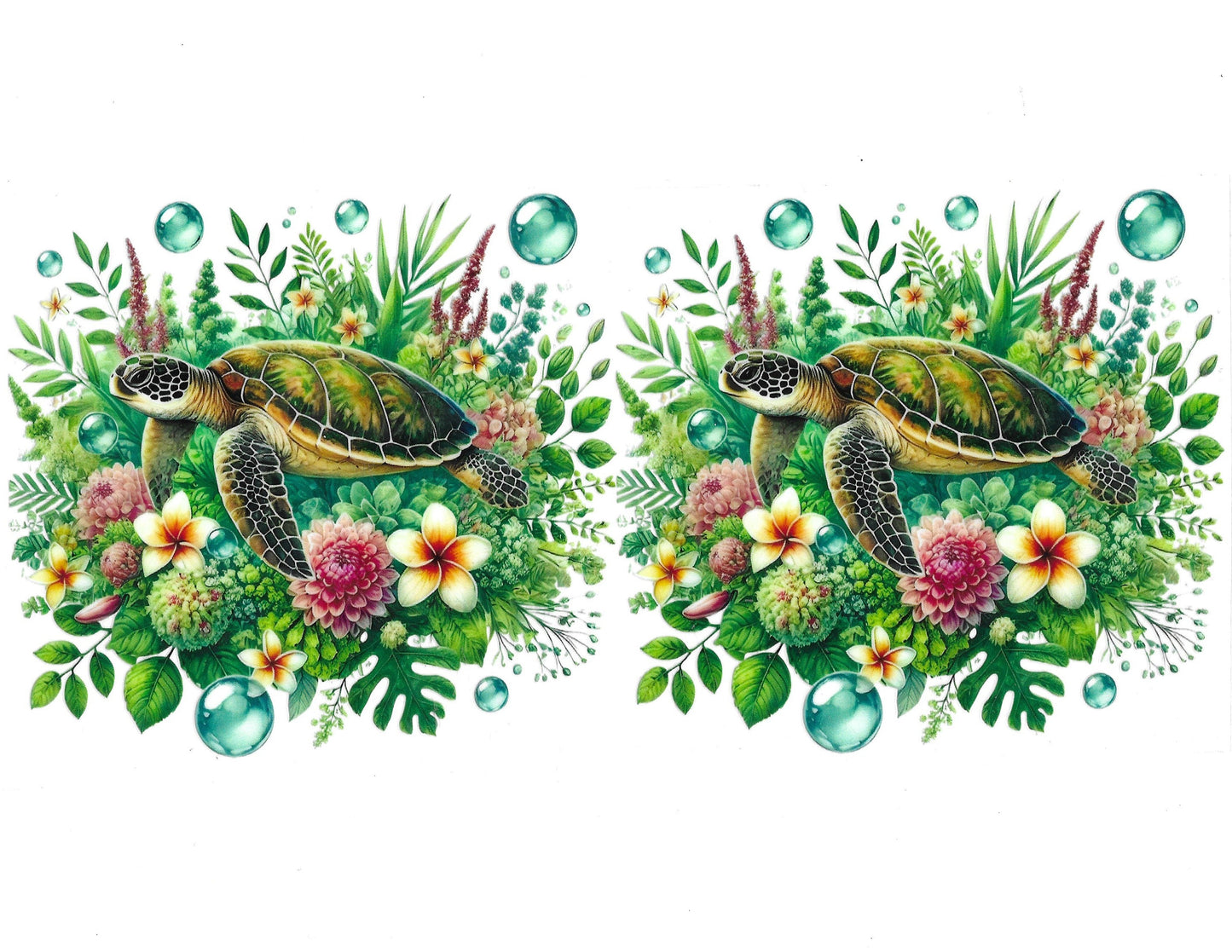 Turtle #03