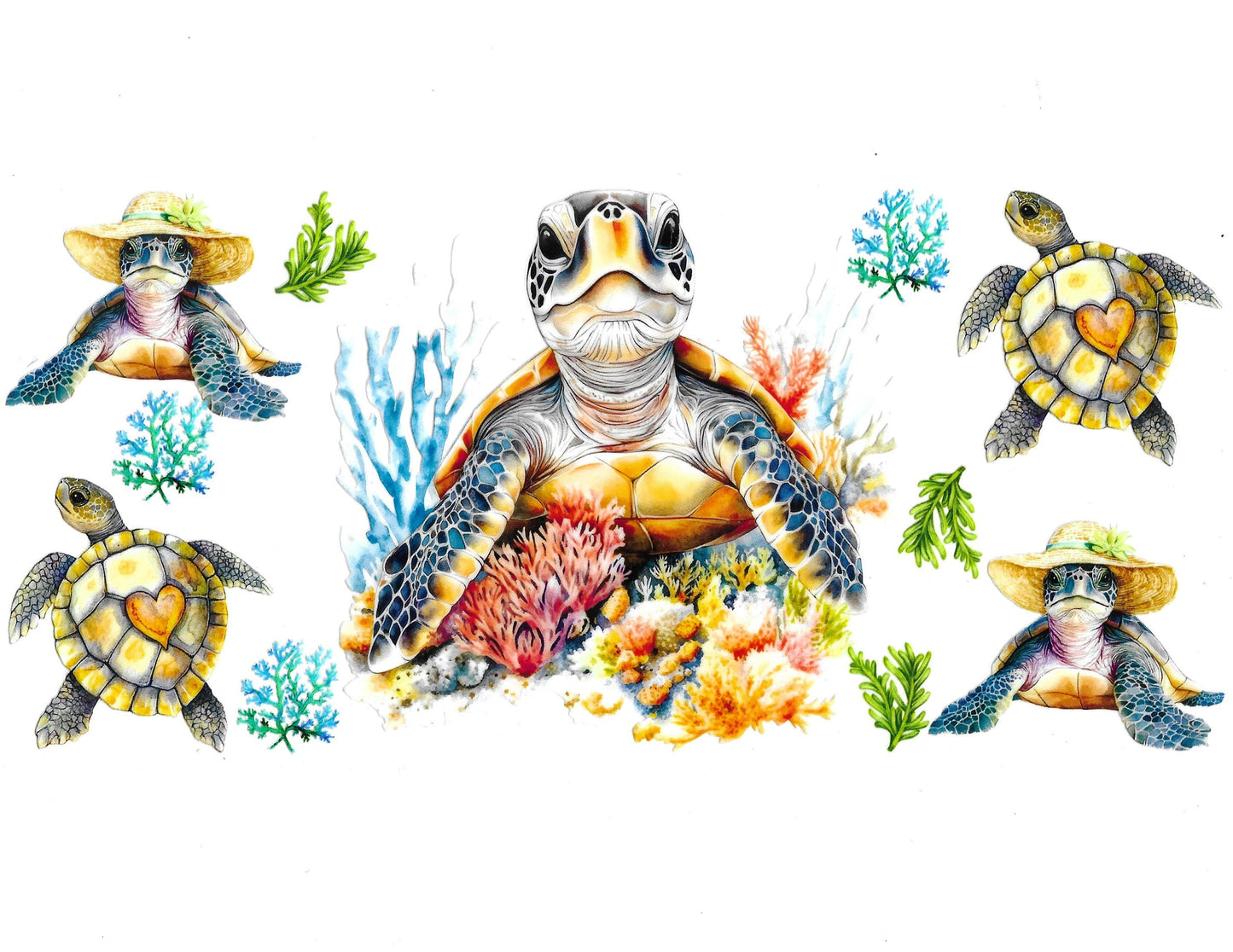 Turtle #04