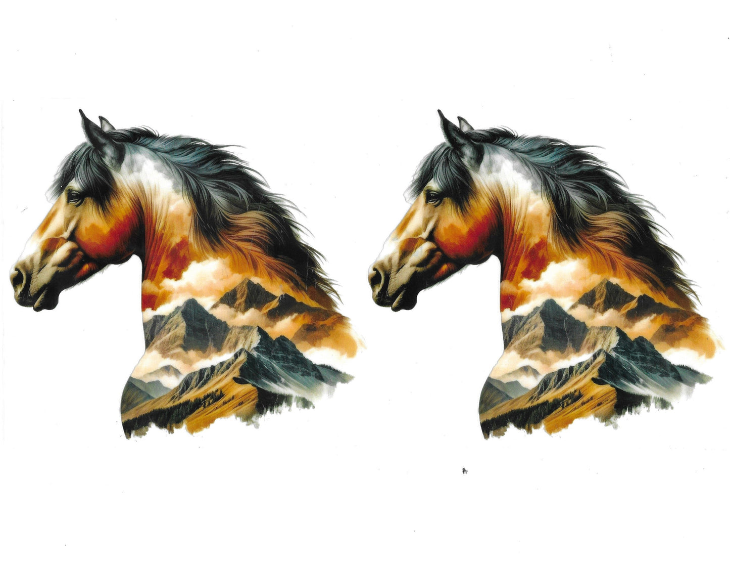 Horse #17