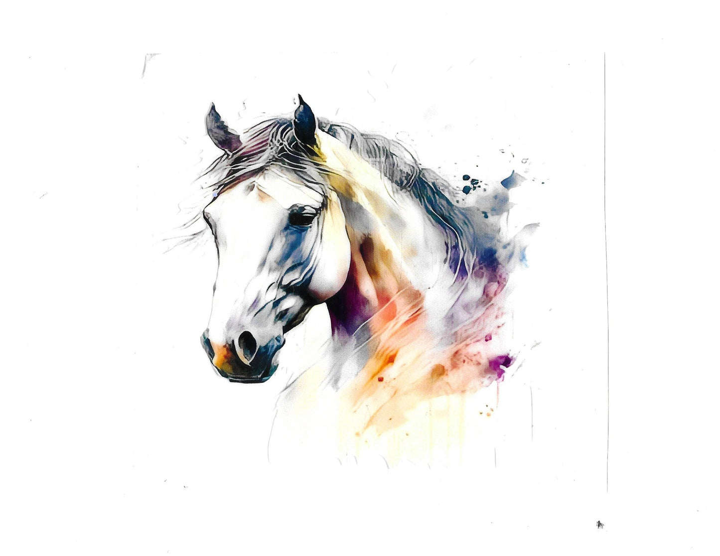 Horse #33