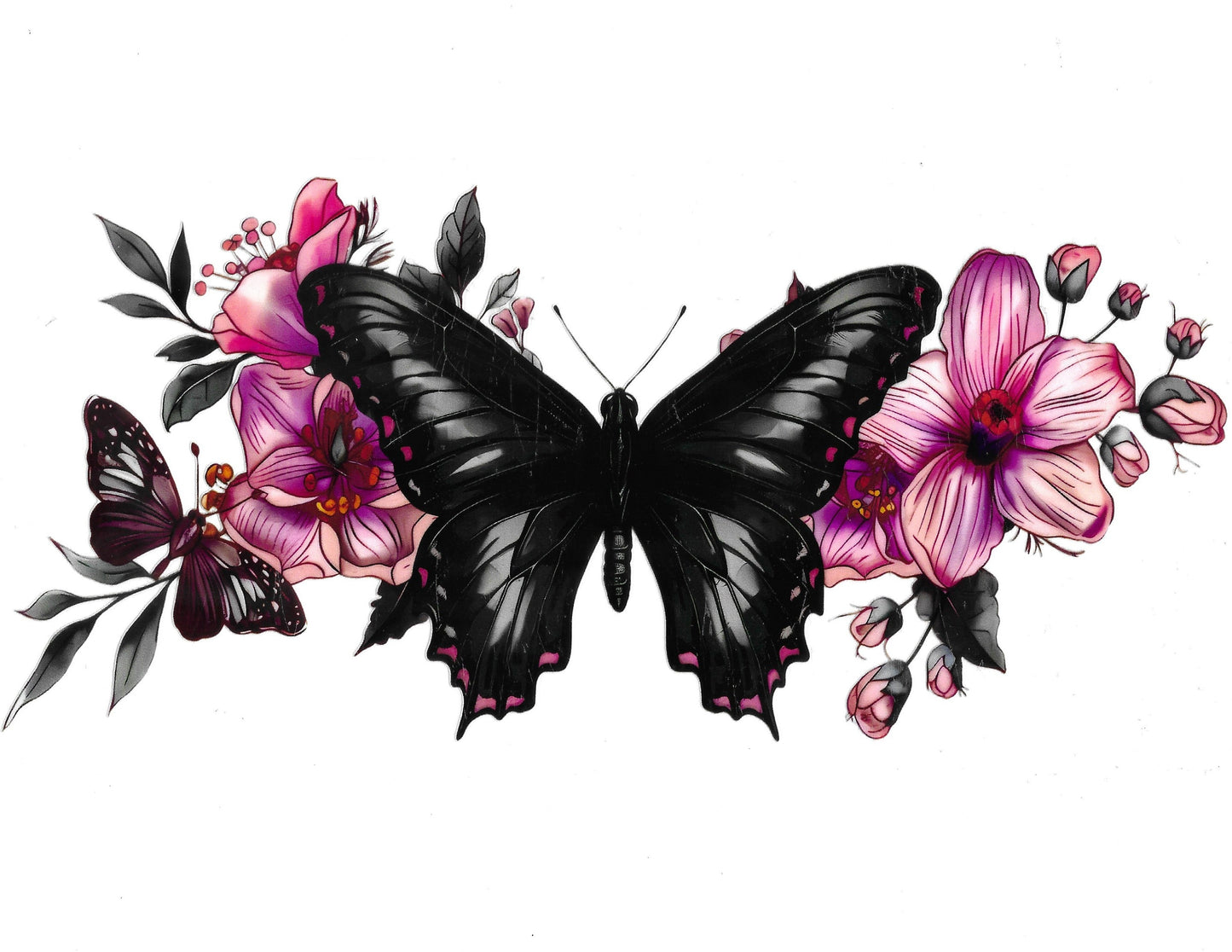 Butterfly #13