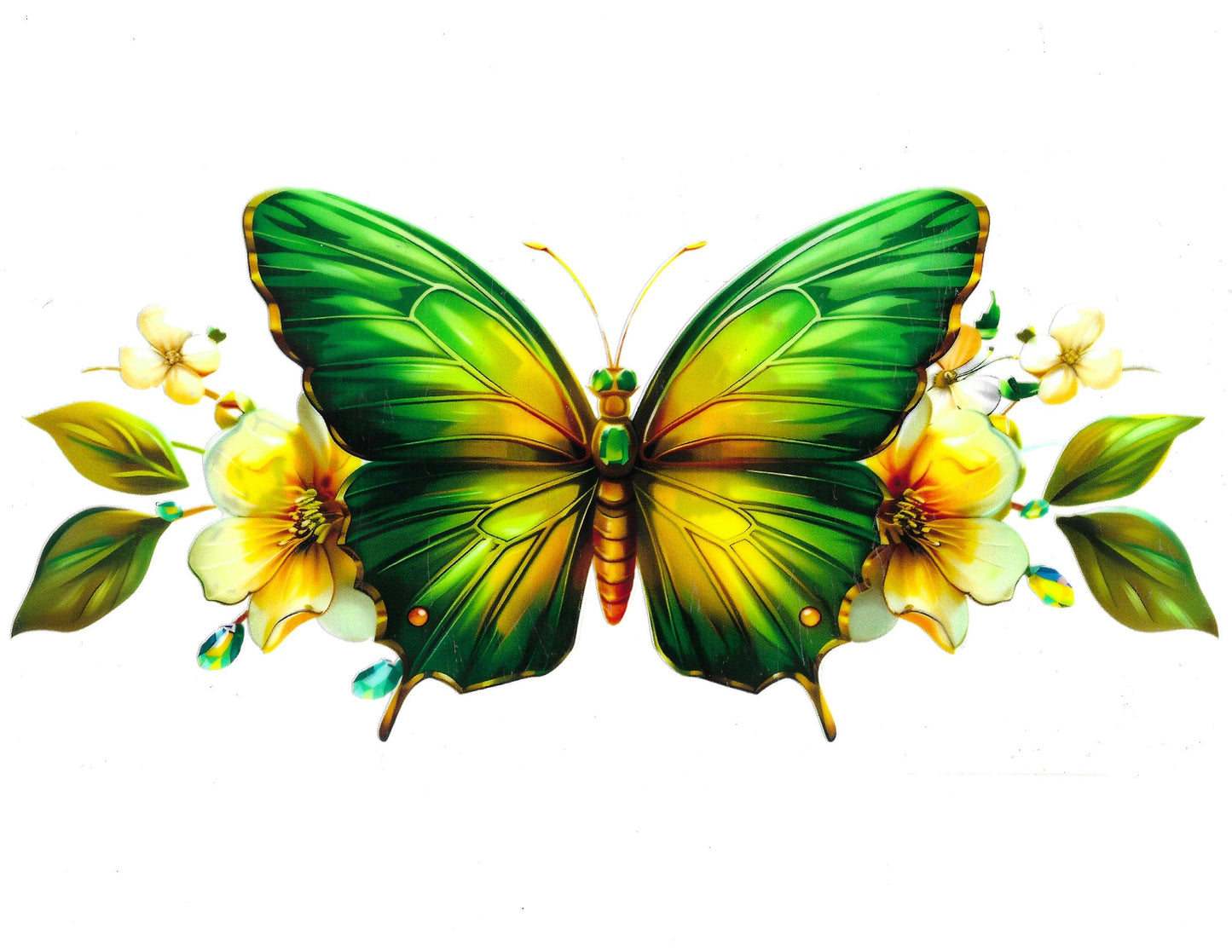 Butterfly #20