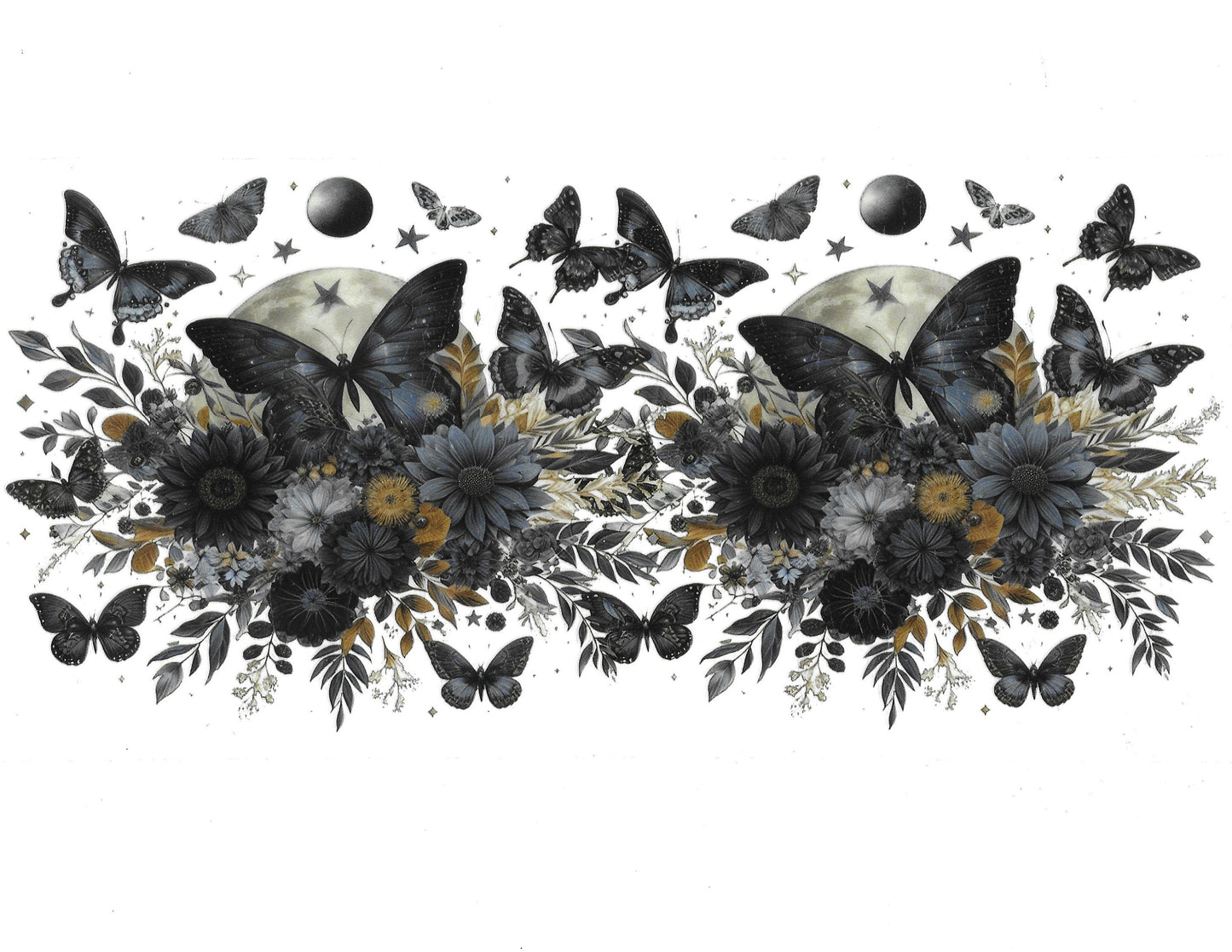Butterfly #24