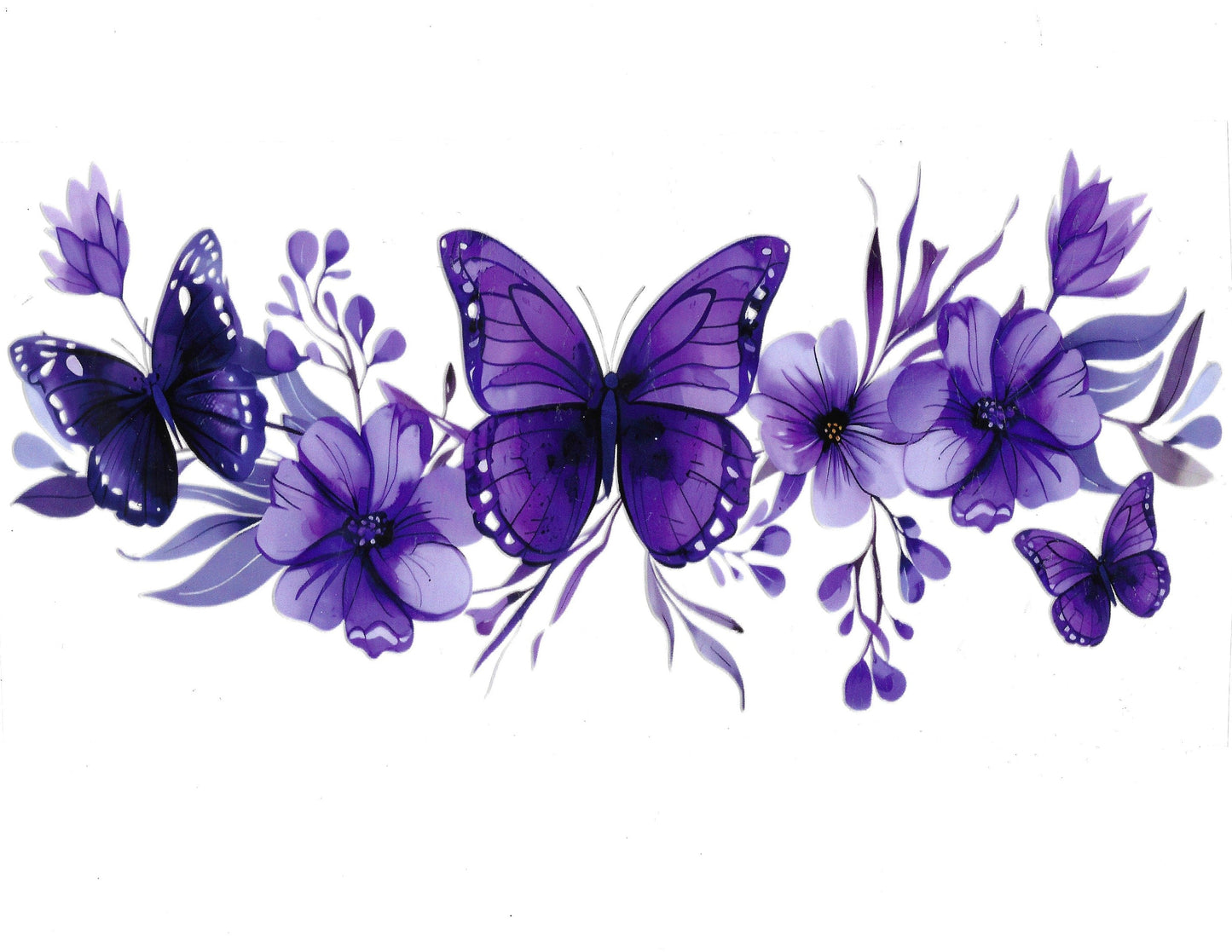 Butterfly #46
