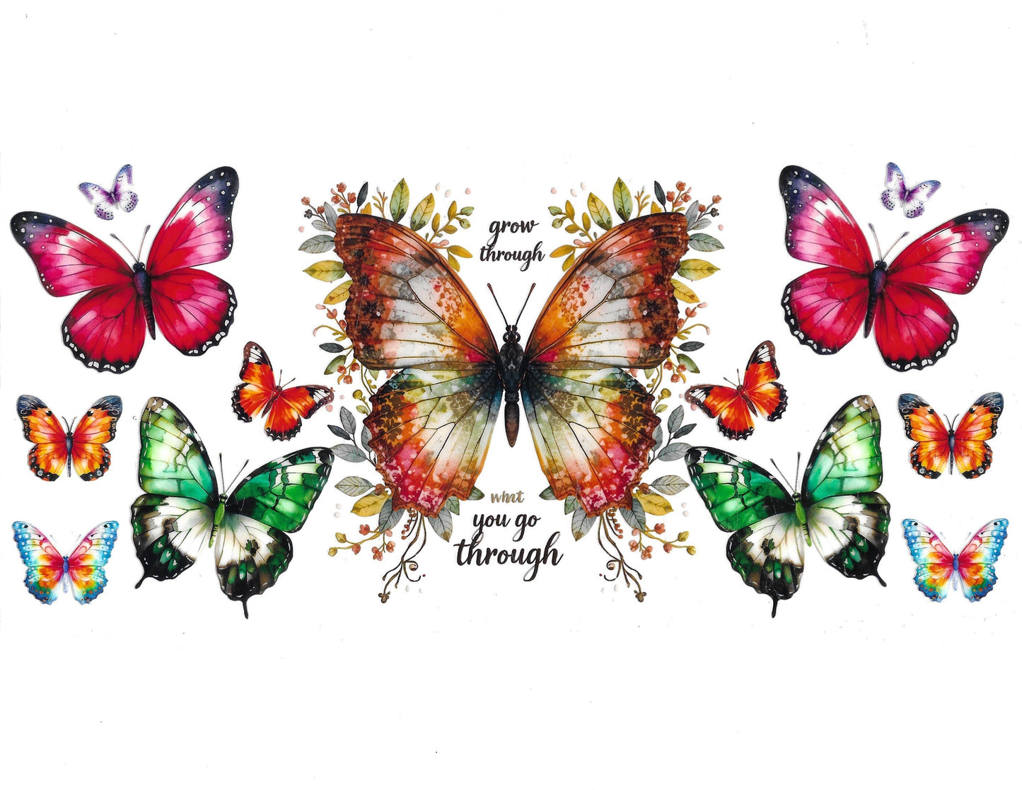 Butterfly #77