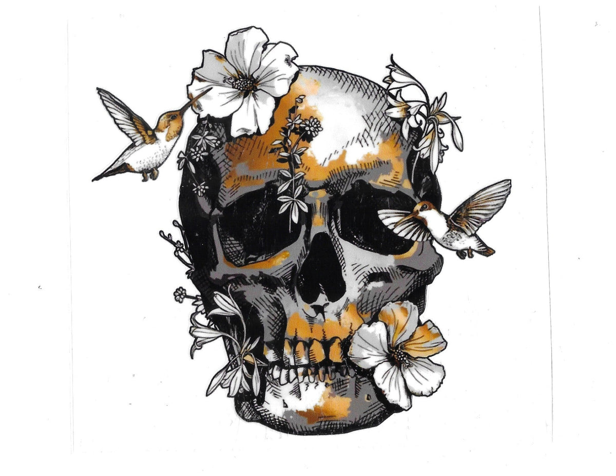 Skull #37