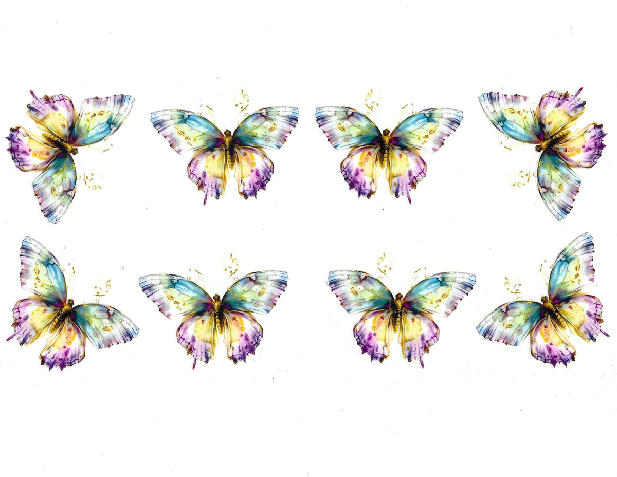 Butterfly #102