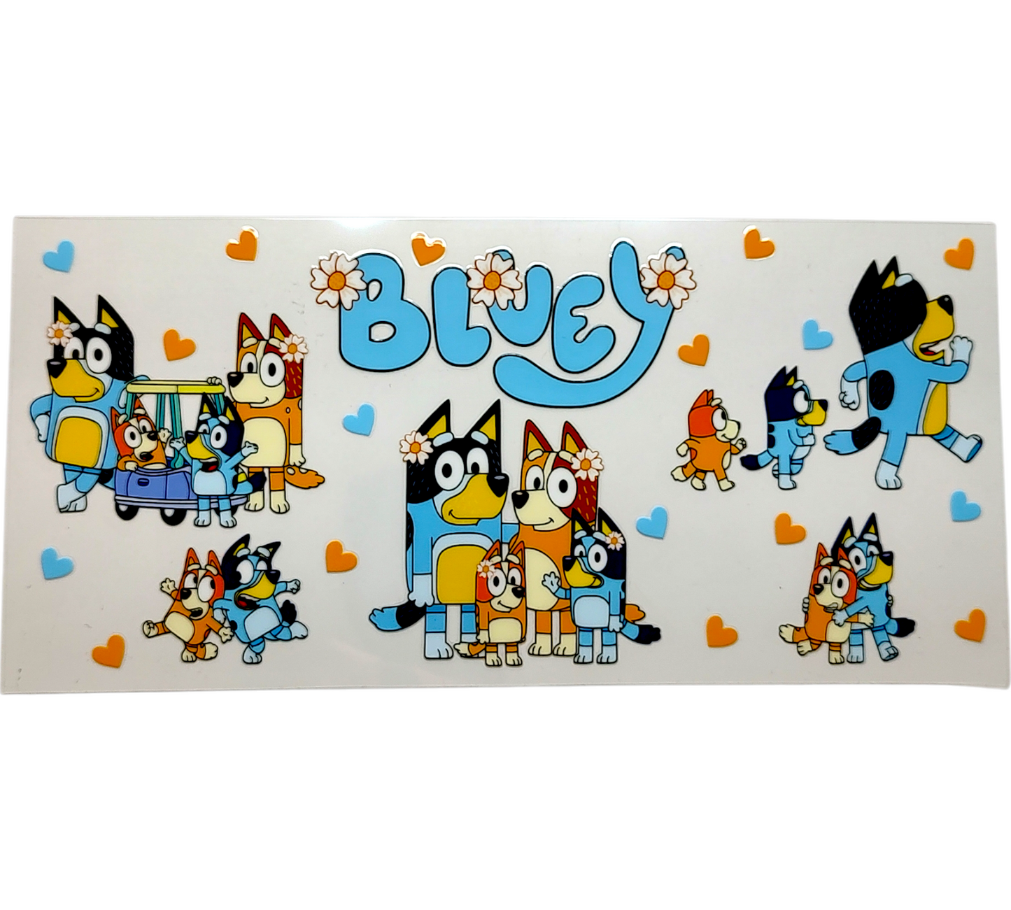 Bluey #13