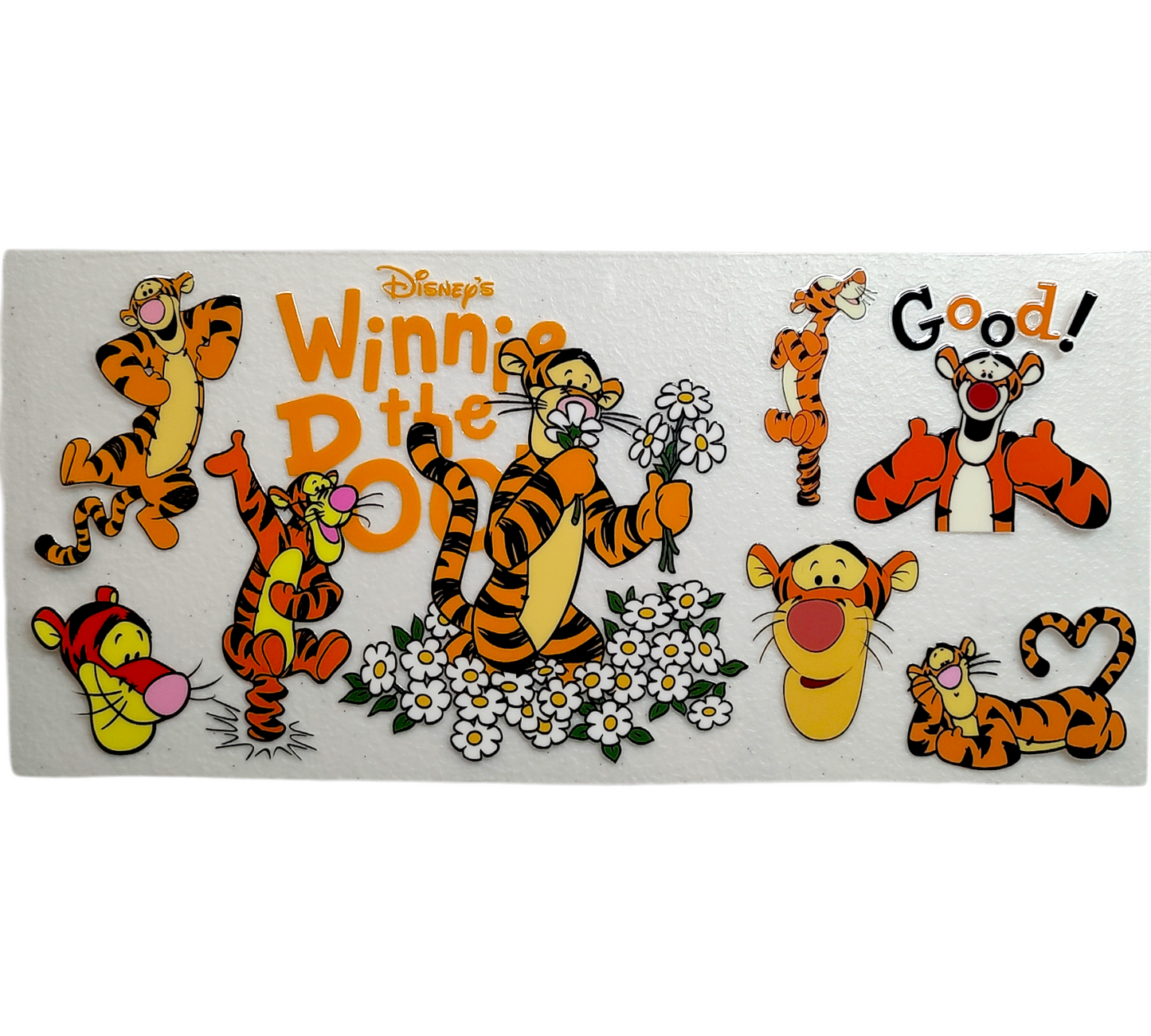 Winnie #42