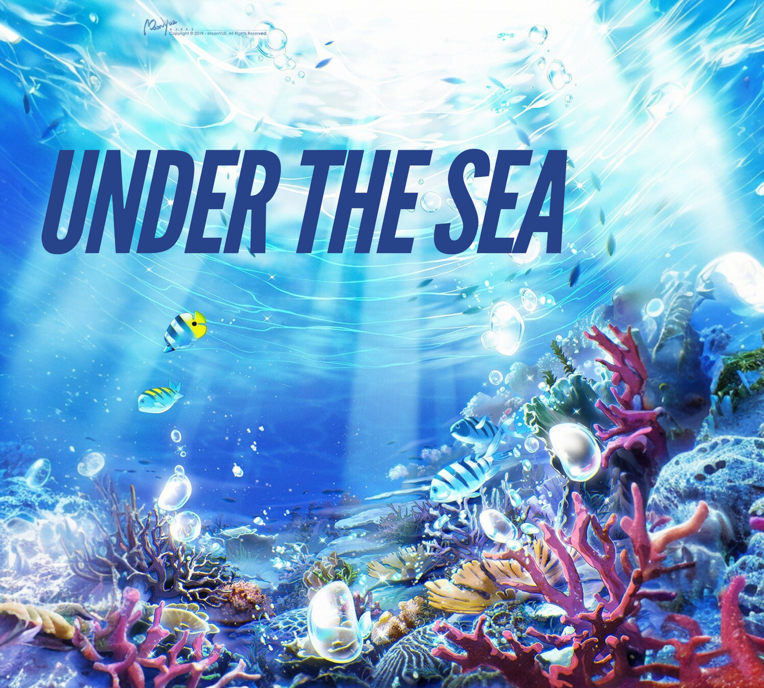 SHARKS, WHALES, JELLYFISH & OTHERS