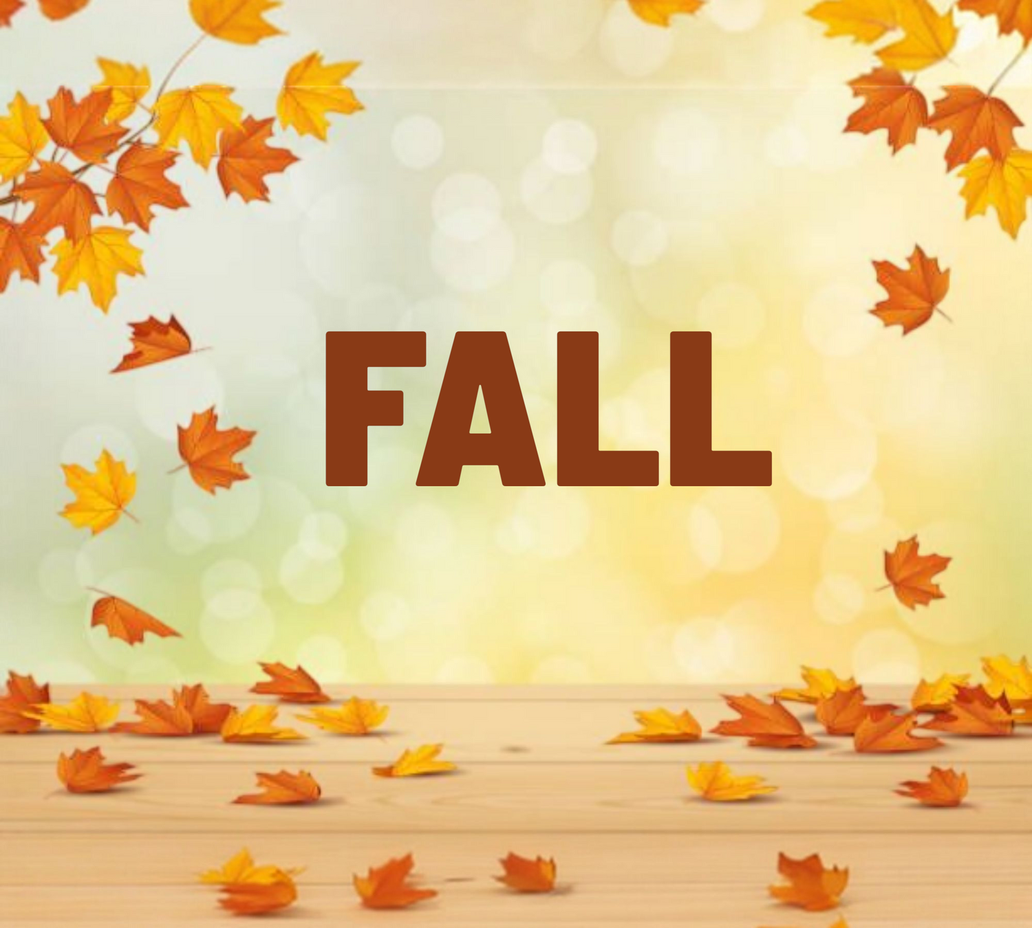 FALL COLLECTION
