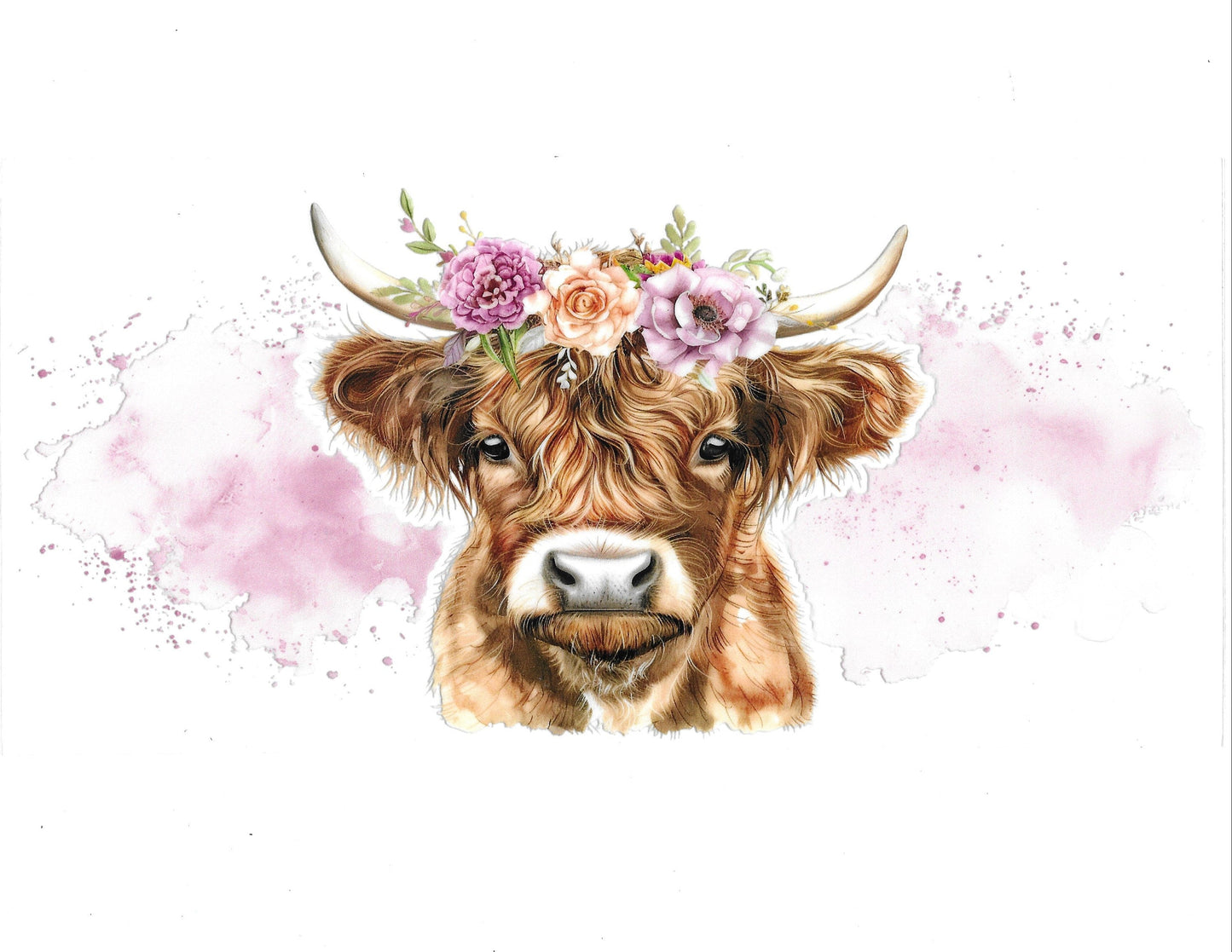 Cows #98