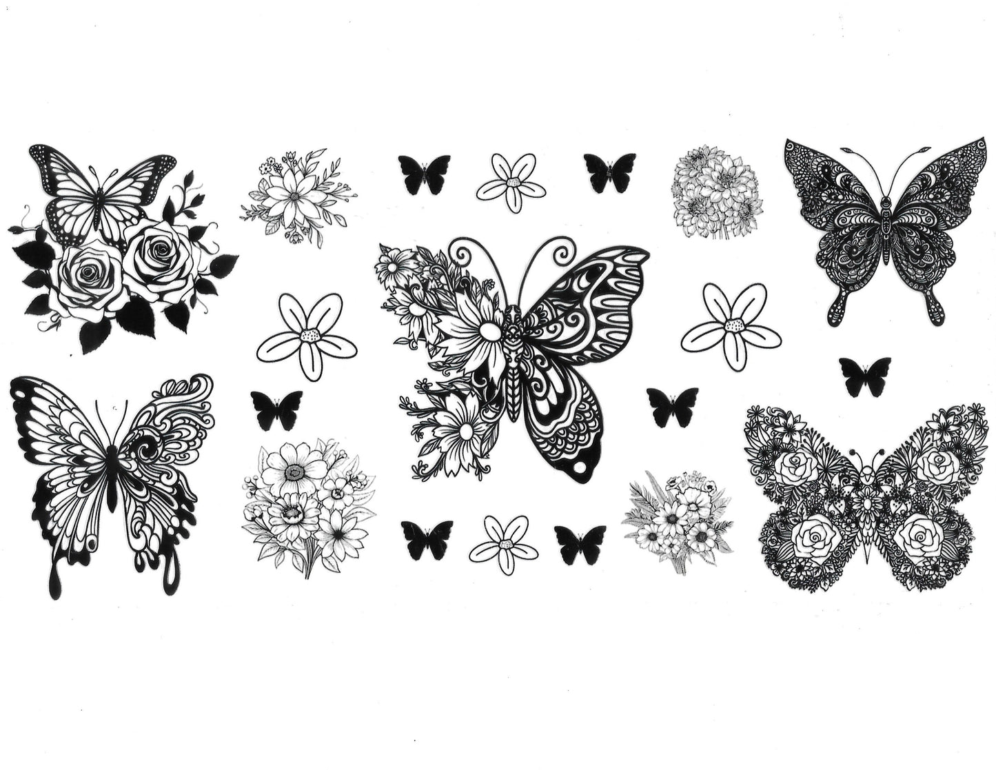 Butterfly #18