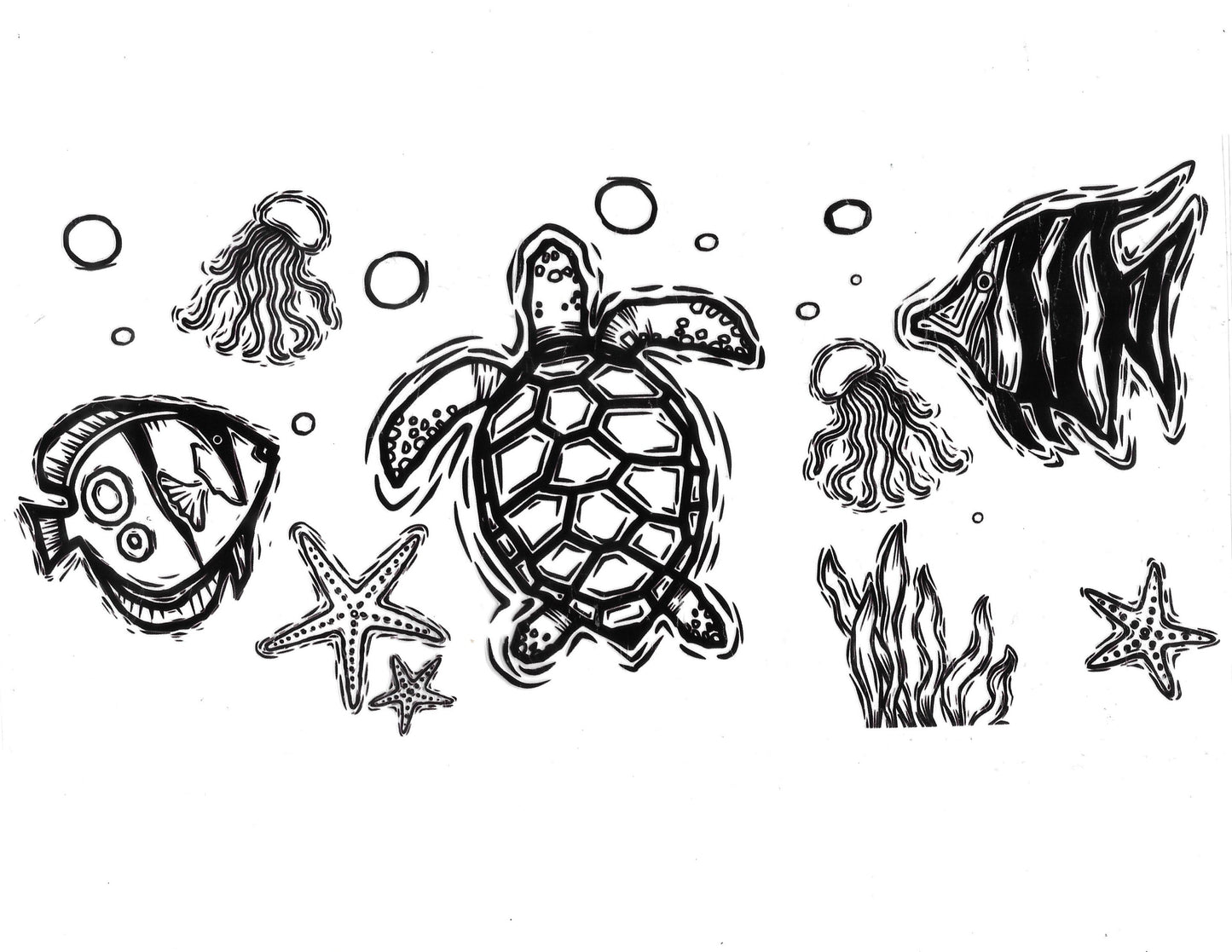 Turtle #06
