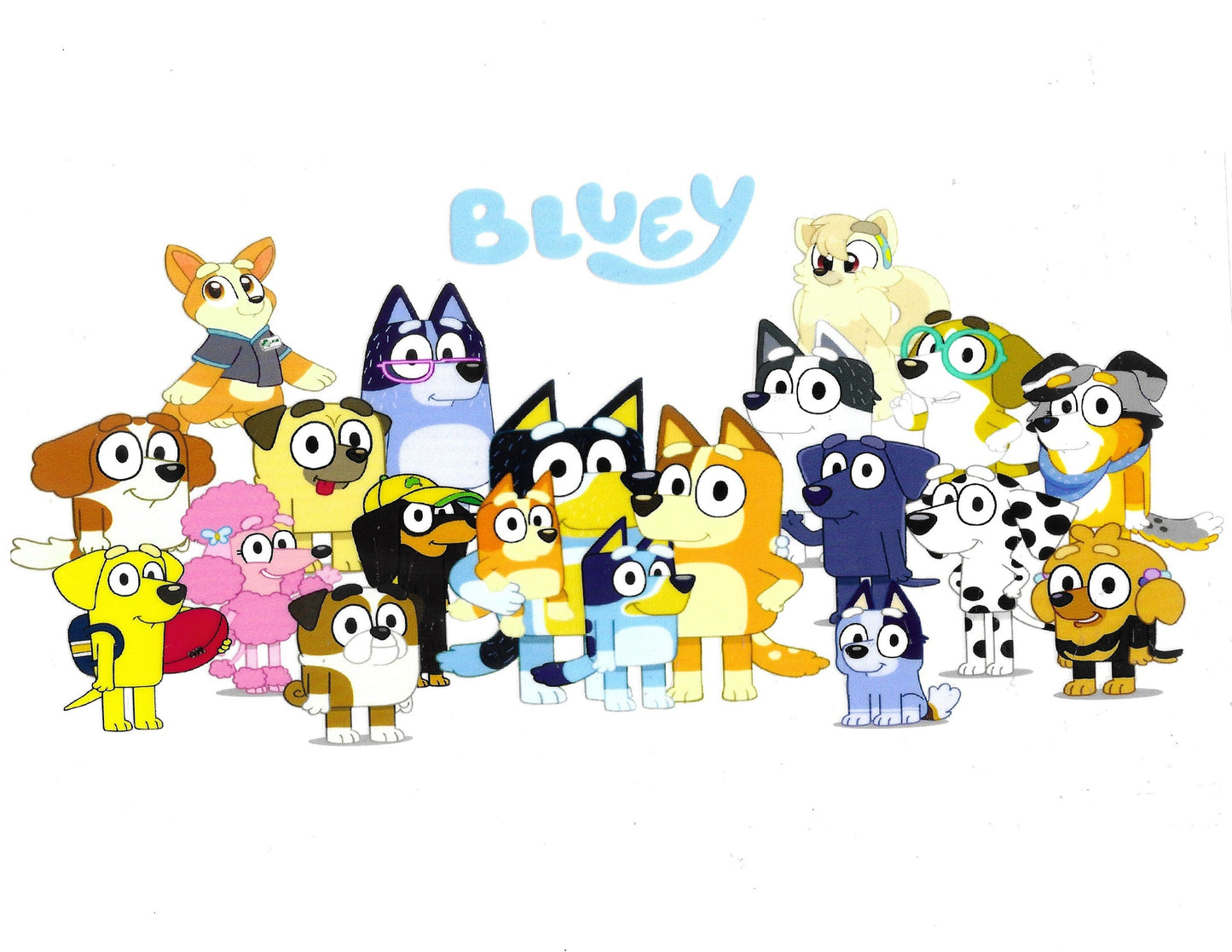 Bluey #19