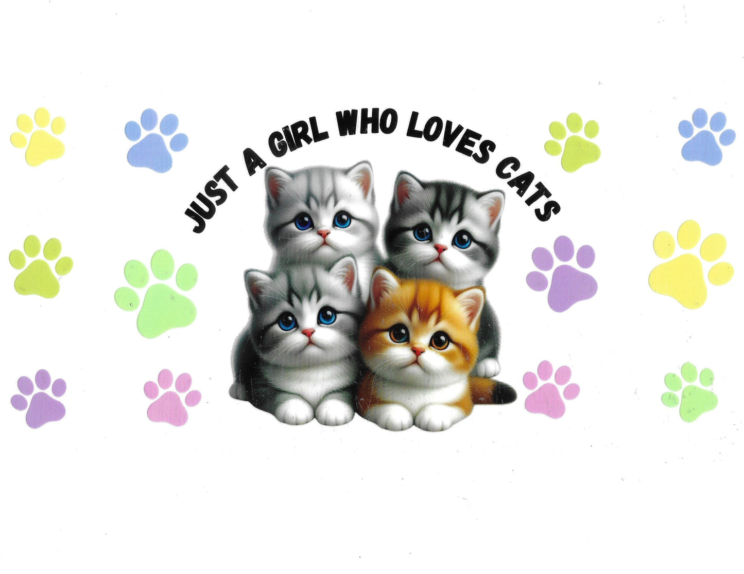 Cat #12