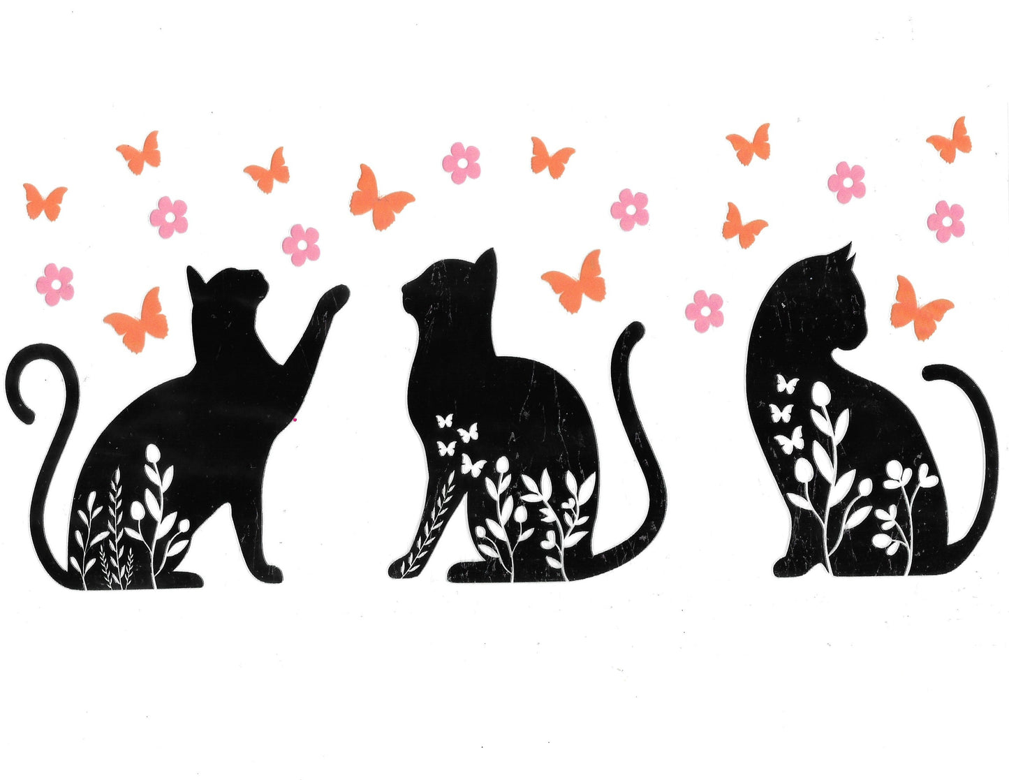 Cat #10