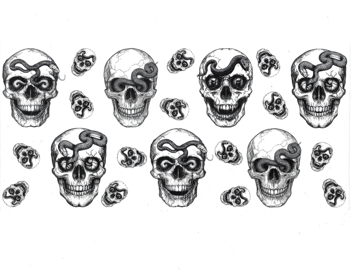 Skull #29