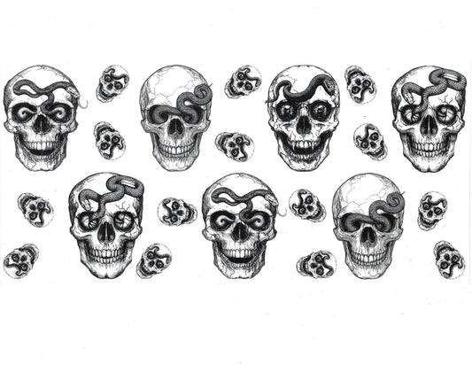 Skull #29