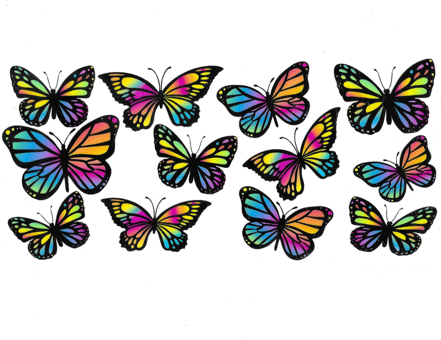 Butterfly #16