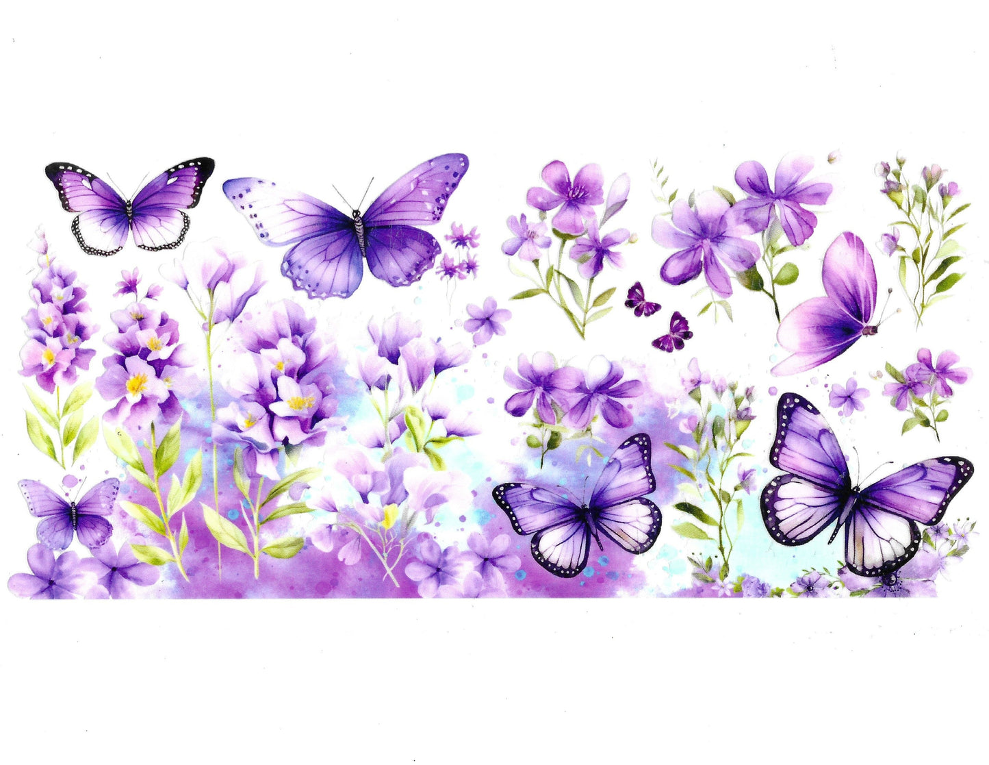 Butterfly #66