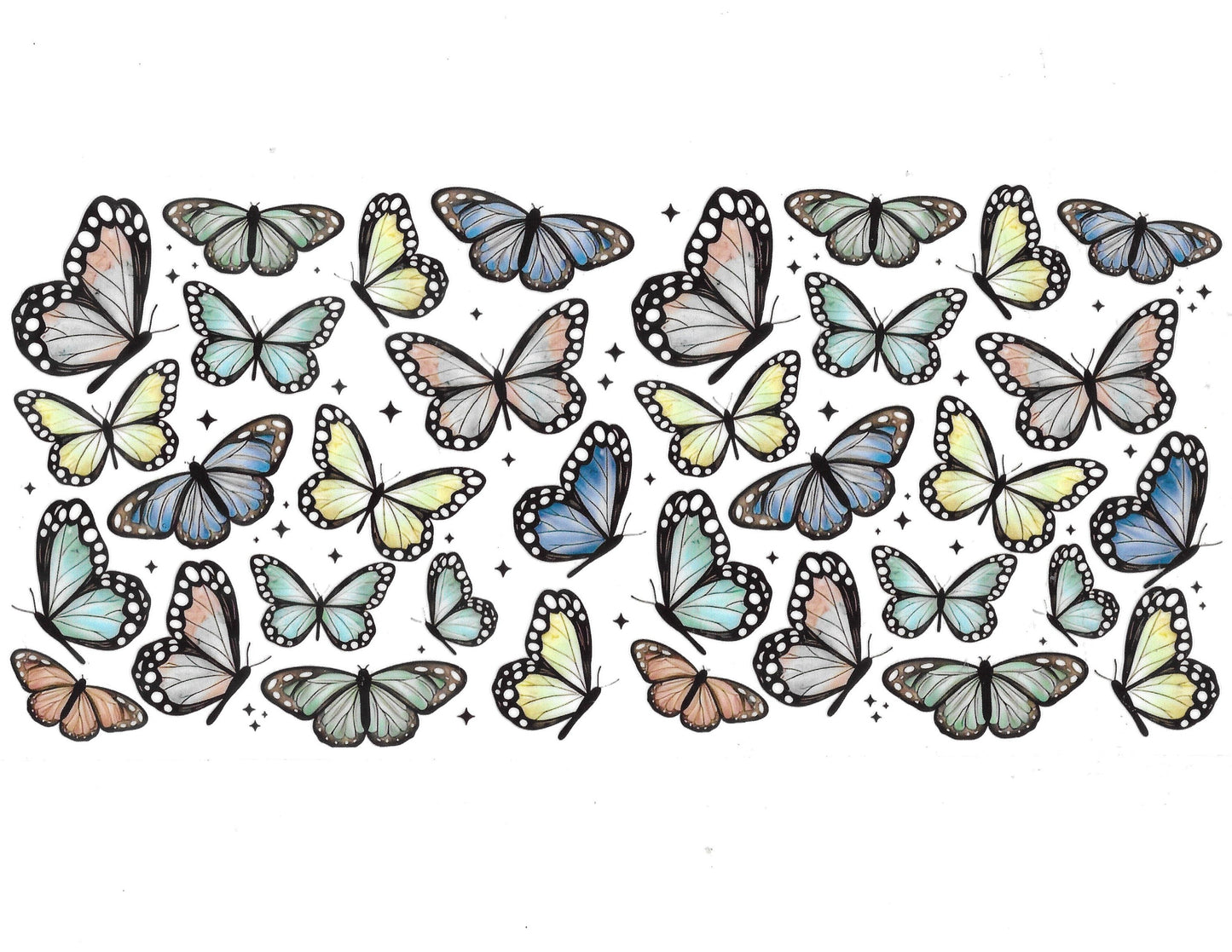 Butterfly #91