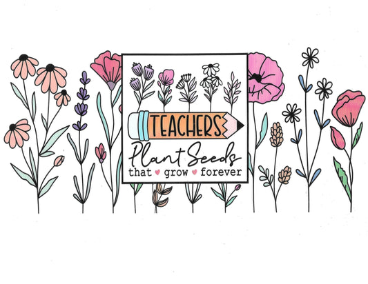 Teacher #08