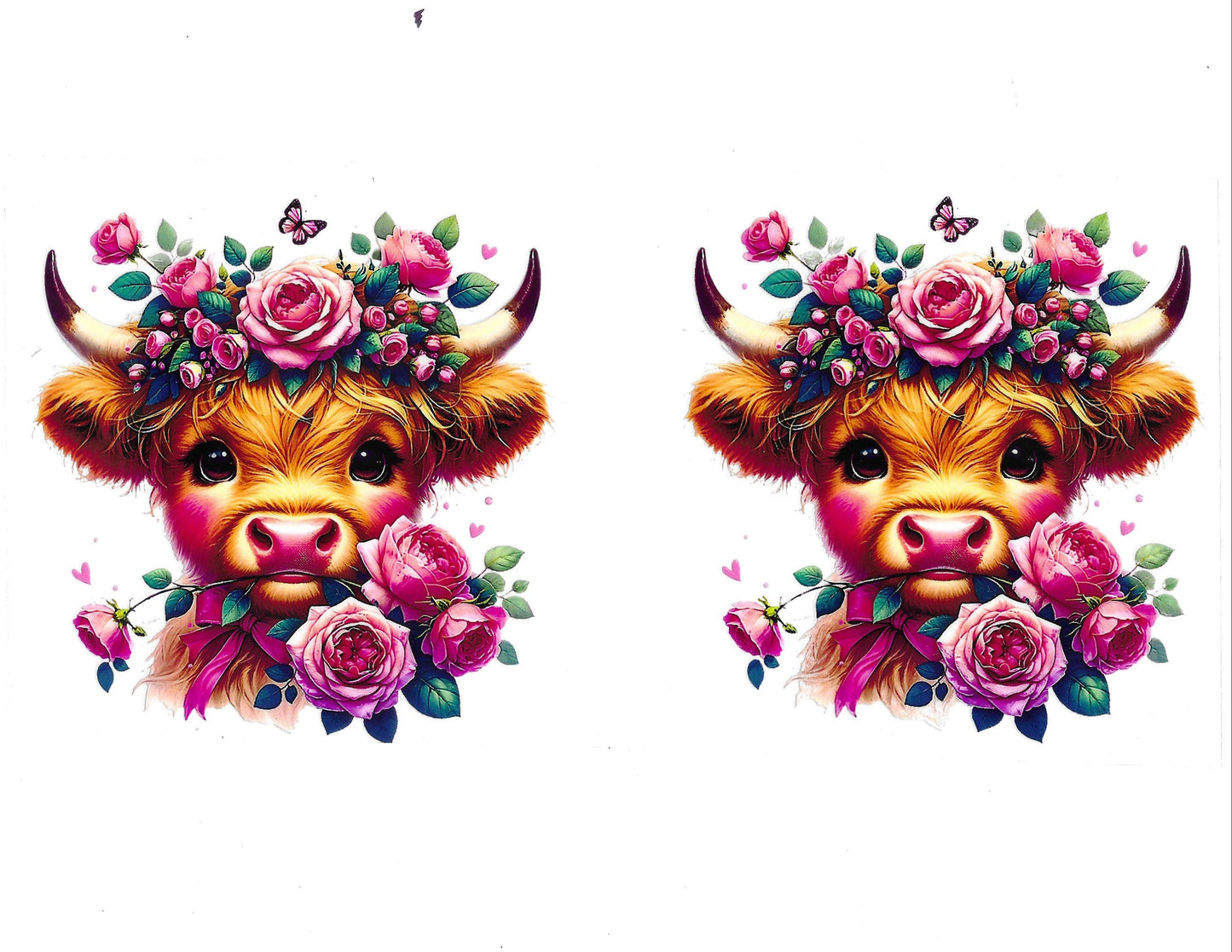 Cows #03
