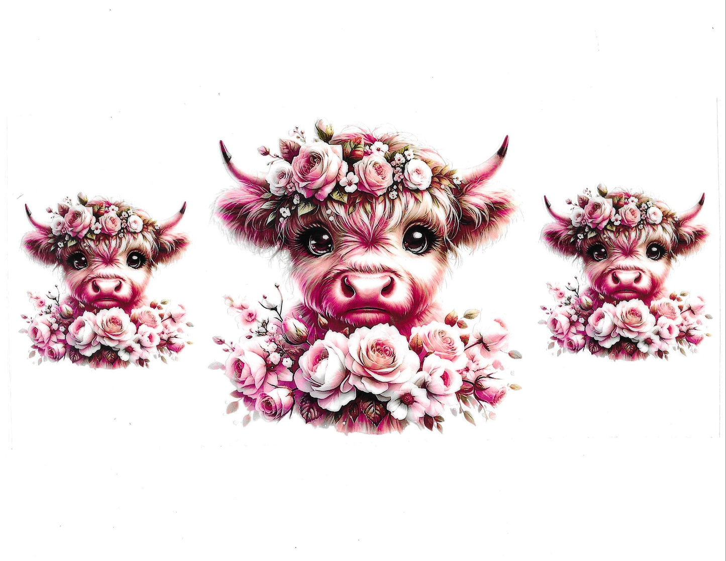 Cows #20