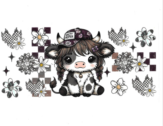Cows #43