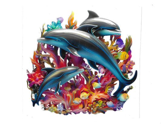 Dolphin #12