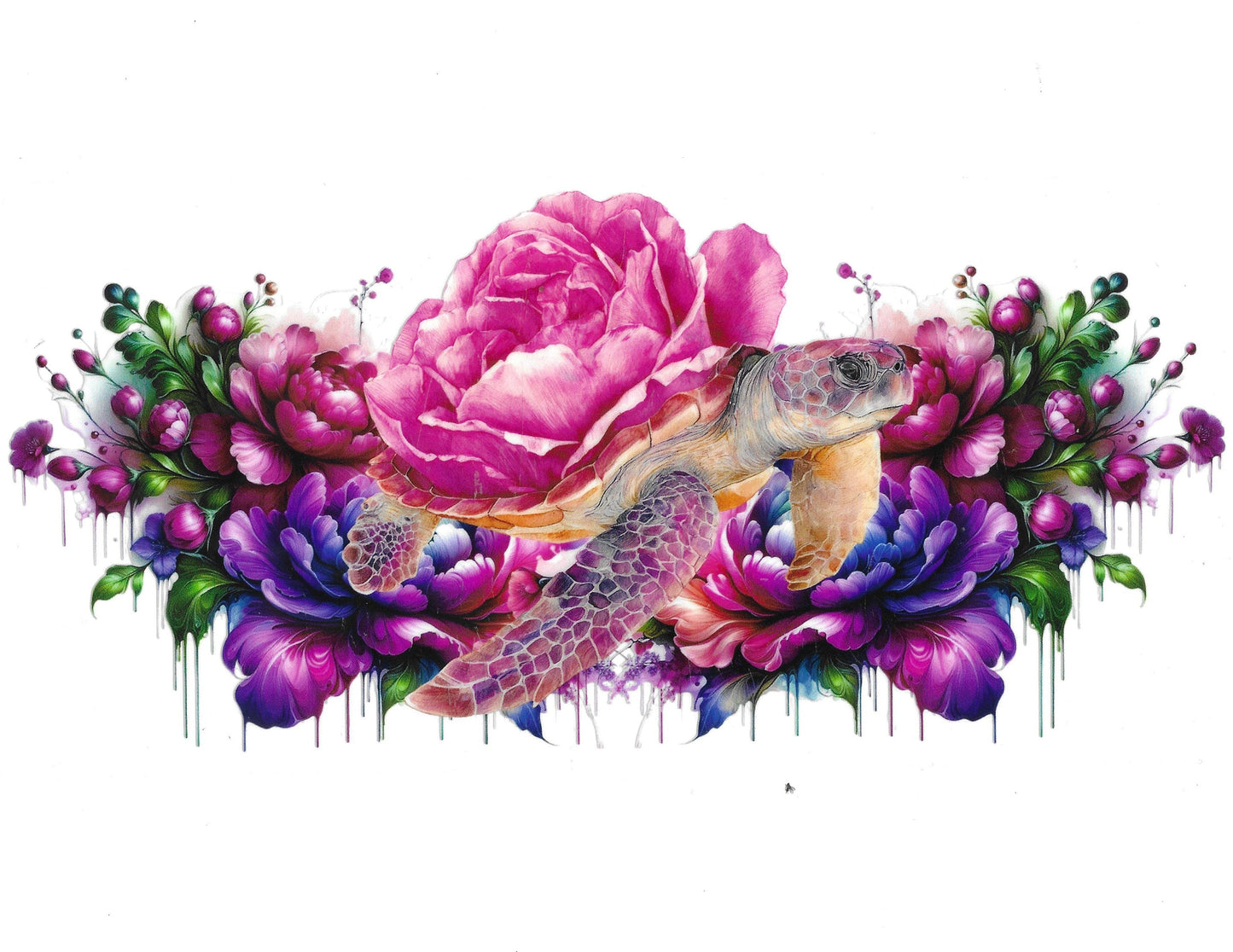Turtle #25